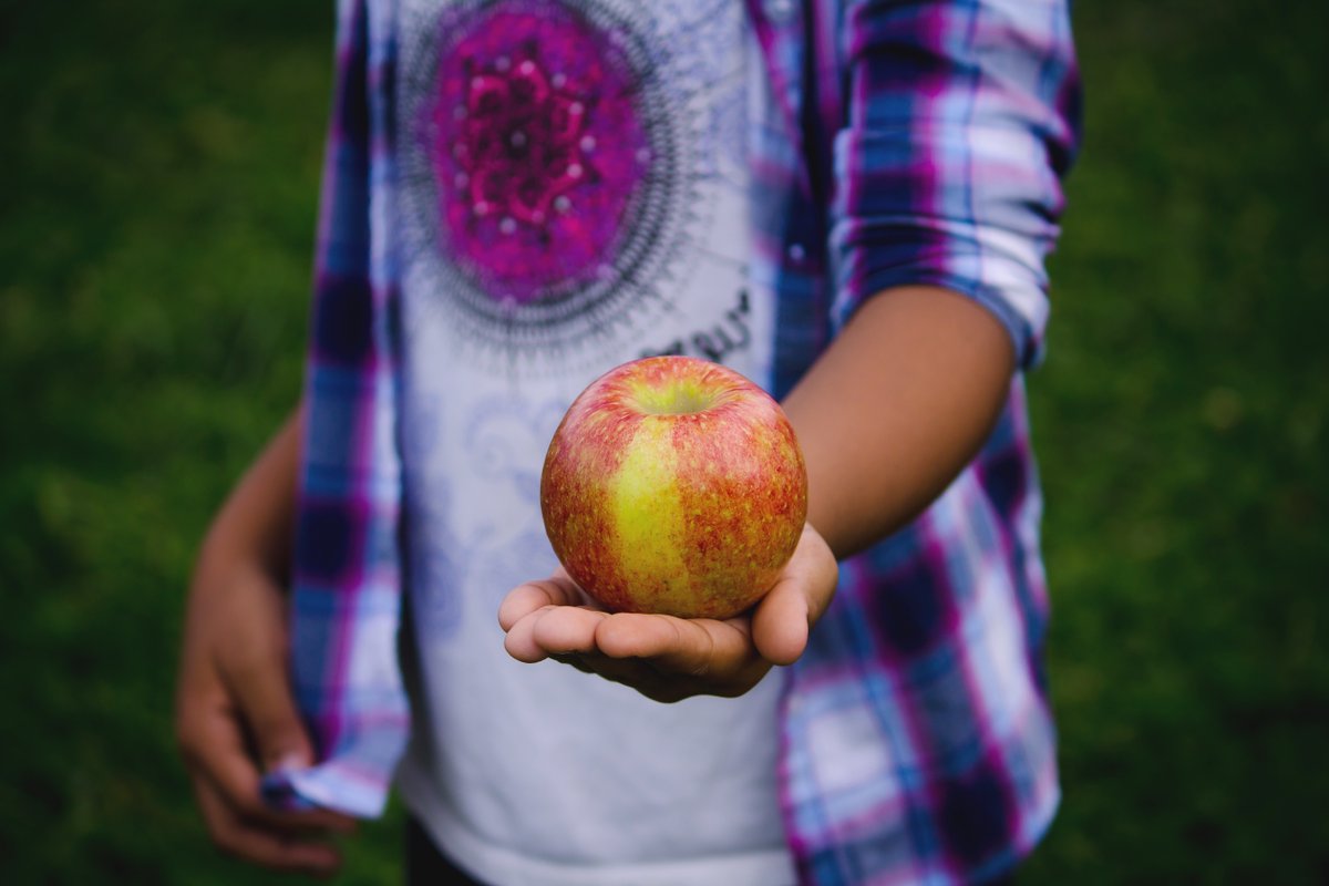Bristolfoodnet's tweet photo. For International #SchoolMealsDay, why not revisit our #GoingForGoldBristol blog on NEW Bristol #eatingbetter Schools Award. It aims incentivise &amp; reward good practice in school meals provision, improving nutrition for planet in our city https://t.co/9ekFDEROhx
#G4Geatingbetter https://t.co/ZXIIe48idL