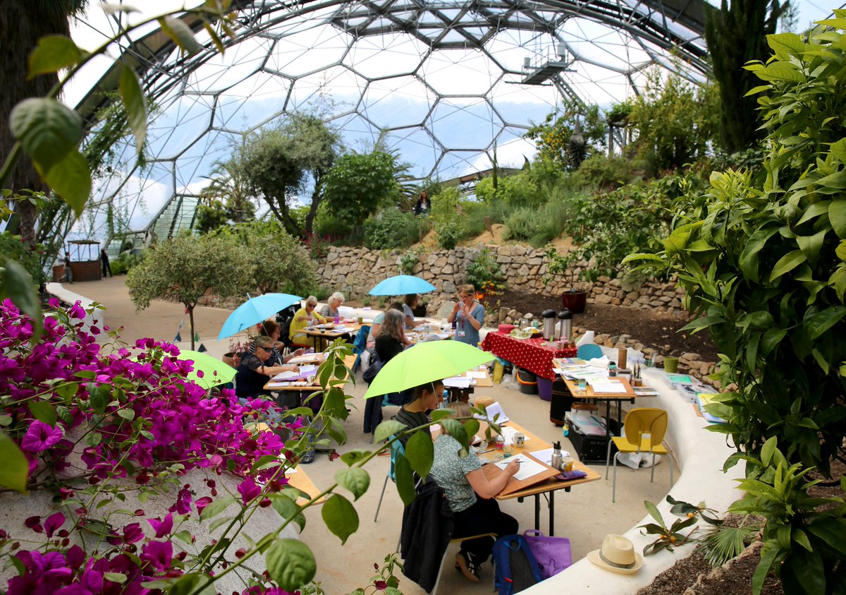 silburn_laura's tweet photo. Join me in May for three days of botanical painting in the biome. A course to introduce you to botanical watercolour, all in the 'Med'! https://t.co/4eUT7oIuU2 https://t.co/4k6P6WoyYM