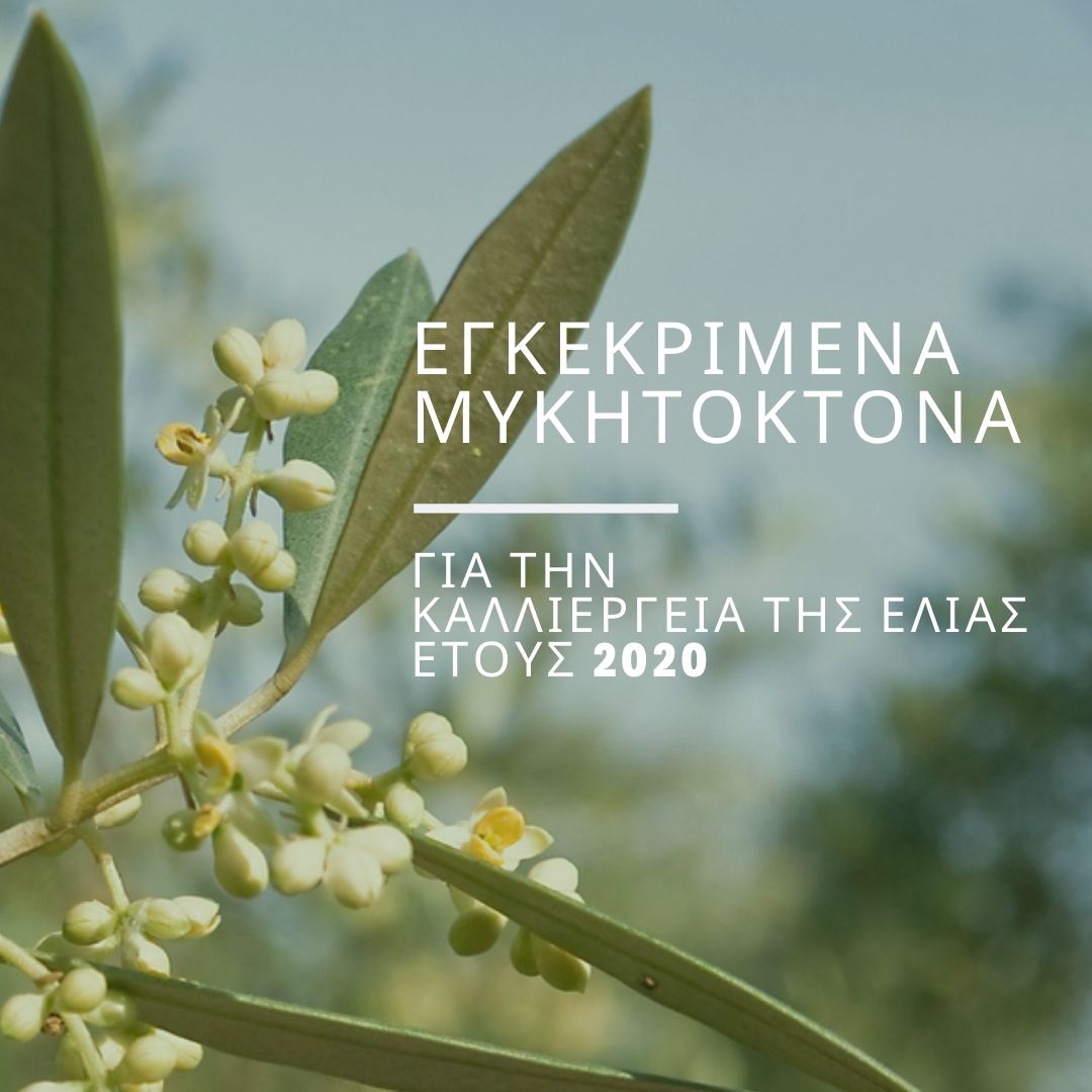 FarmaconG's tweet photo. 🎯 Τα Εγκεκριμένα Σκευάσματα σε Αμπέλι & Ελιά για το 2020
Διαβάστε περισσότερα στο Εβδομαδιαίο #Newsletter της #Farmacon
https://t.co/3uvURgZHiT https://t.co/JOFVsUVgEP