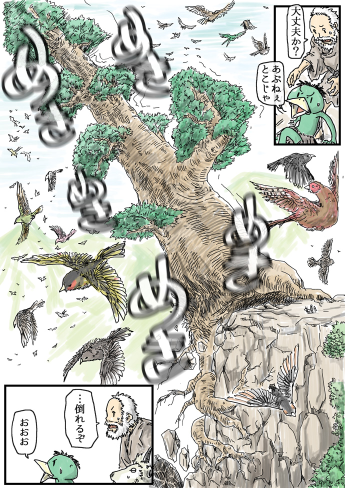 4/4 いわわりどんは樹齢3000年くらいです 旱魃のときは鳥たちが根まで水をはこんだりしてました 