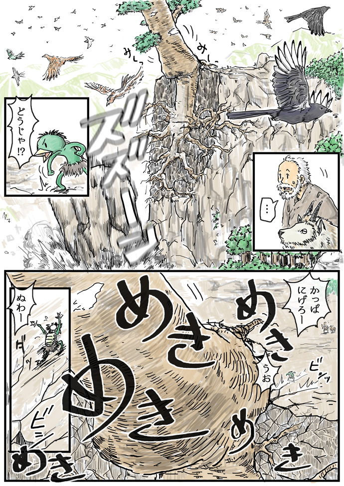 3/4 かっぱの皿は分厚い頭蓋骨なので割れません
パキケファロサウルスみたいなもんです 巨岩に頭突きして鍛えました 