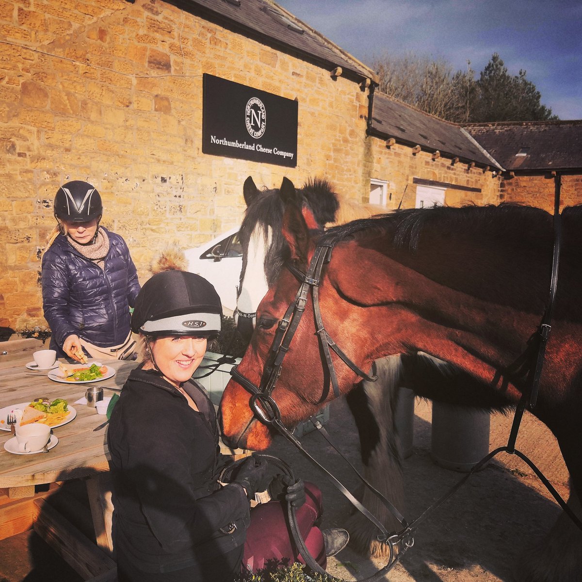 Look who came to visit today! #horsefriendly