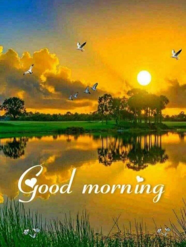 <a href="/halconavicencio/">🌹❤️ELENA MIRANDA V.❤️🌹#E̲l̲e̲M̲i̲r̲a̲n̲d̲a̲</a> <a href="/patriciayonan/">patricia ♡☆🇺🇸 ☆🇮🇹♡</a> <a href="/LanLancsayer/">AtLANta Sayer</a> <a href="/linda1974a/">Linda</a> <a href="/PatriciaAHenso1/">Tricia Wingate</a> <a href="/LovesWaterViews/">Ellen</a> <a href="/RosaTrunk/">Rosa</a> <a href="/gracinhalara/">Lara</a> <a href="/peac4love/">Ceni</a> <a href="/vinodch8560/">vinod choudhary</a> @MyLove4Fassy