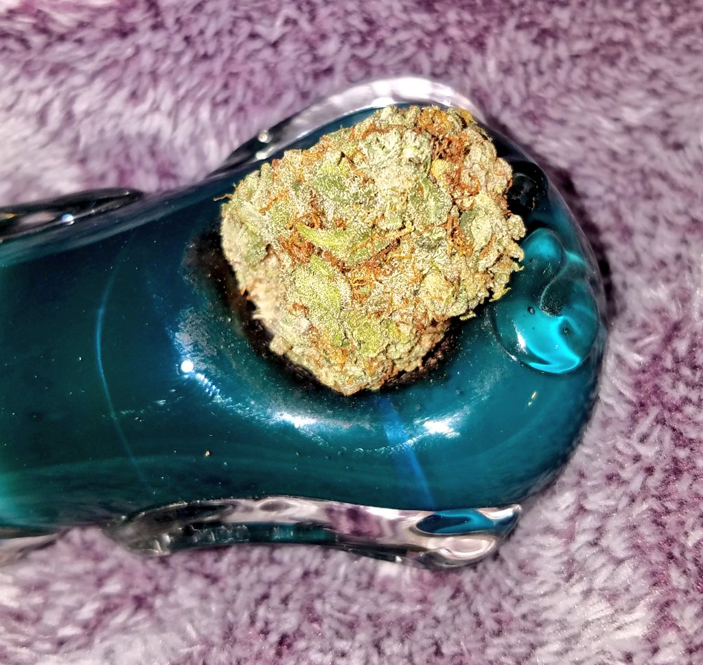 LongHaired_One's tweet photo. It's #FrHIGHday #StonerFam .. Let's blaze 🔥
#IAmCannabis #PuffPuffPass #420Life #HighSociety #THC #AddictedToGlass #SmokeSesh 
💋☁️ https://t.co/VLrTzWHthG