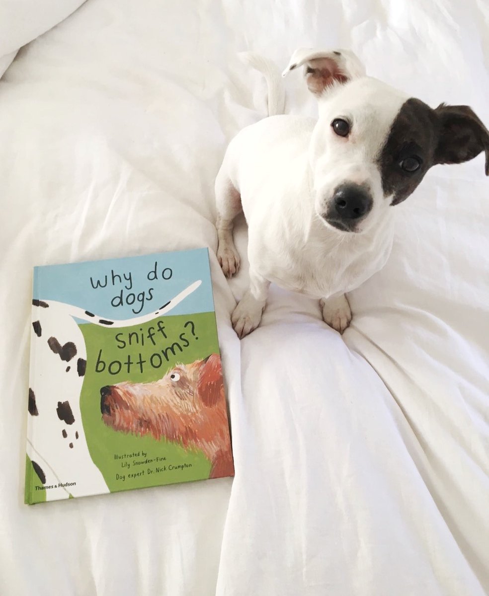 thamesandhudson's tweet photo. We're celebrating the brand new '#WhyDoDogs Sniff Bottoms?' in the most adorable way we know how!
Prepare to meet our new brand ambassadors, starting with Badger... https://t.co/jrtcGOLFHP