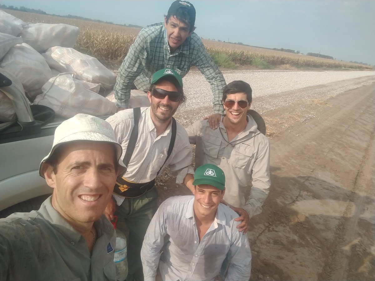 ReussiNahuel's tweet photo. El ORIGEN DE LOS DATOS. Un gran equipo....esos placeres de la investigación 💪💪💪. Manejo de nitrógeno en MAIZ.@FertilabLab @PioneerSemillas @PampaSrl @SarlangueTomas @GRSueloCultivo @YaraArgentina @ProfertilNutri @WalterCarciochi https://t.co/V7x9gWColz