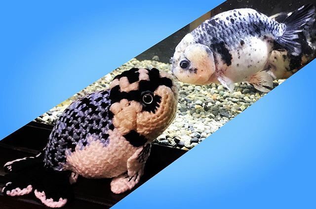 毛绒玩具 Twitter Search