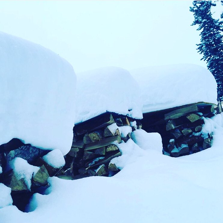 FIREBEAN COFFEE ROASTERS tweet media