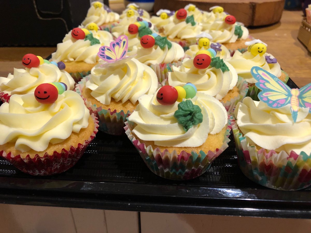 SISF_2025's tweet image. Car packed, cakes baked and decorated with buggy toppings.  See you all tomorrow. First talk at 11.00! Activities throughout the day. @ConopsEnto @bugbotherer @BDSdragonflies @DipteristsForum @StaffsInverts @entoarron @BritishSpiders @NLonghornRS @NickMott7 @Megabunus @tanyptera