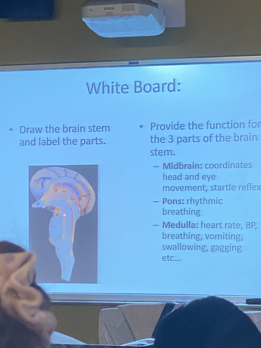 BaysanRj's tweet photo. Today we did white board activities to help us understand the various structures in the brain! #PeoriaMETMed #PeoriaMET https://t.co/UN9NomYRTh