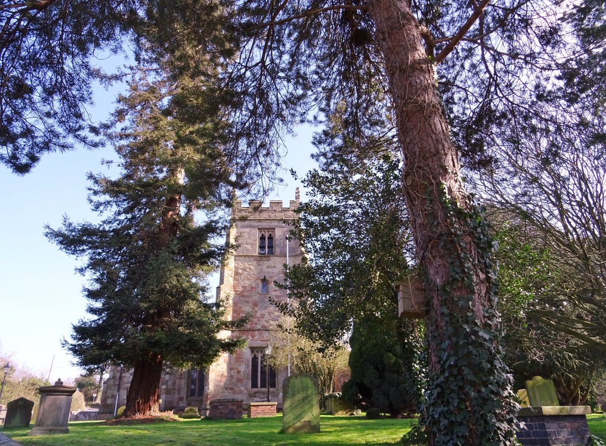 pac1610's tweet photo. Lovely to visit @ClainesChurch on my #walkinthecountry this afternoon. 🌿💛🌿#worcpic #Worcester #naturephotography @WorcesterTIC @WorcsWT @ThePhotoHour @LensAreLive @PicPublic https://t.co/VCuMy1n7I9