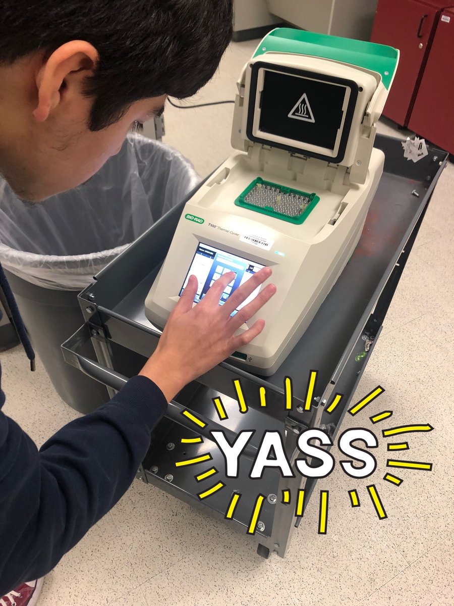 LazareScience's tweet photo. Getting our PCR on today in BioMed. Similar lab technique used to identify if a patient has COVID-19 but with real time results #DNAFriday #COVID19 #lhsscienceforall #lobomania @bio_link https://t.co/XgFljjiff3
