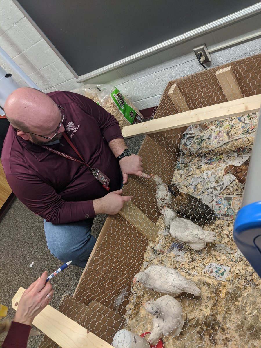 Knippergarten's tweet photo. Just another week at CNE #projectunschool https://t.co/iKnIwG2OvI