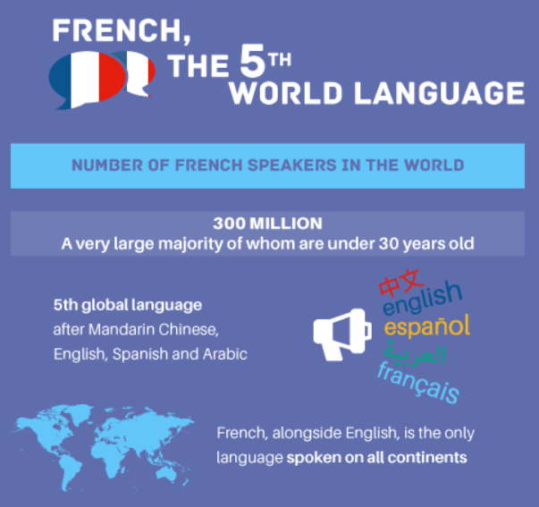 afbaltimore's tweet photo. Learn French with Alliance Francaise de Baltimore. Our Spring classes start on March 30. A discount is offered until March 8 for early registration. https://t.co/KwNFLnjRVS https://t.co/nVvwssNEFz