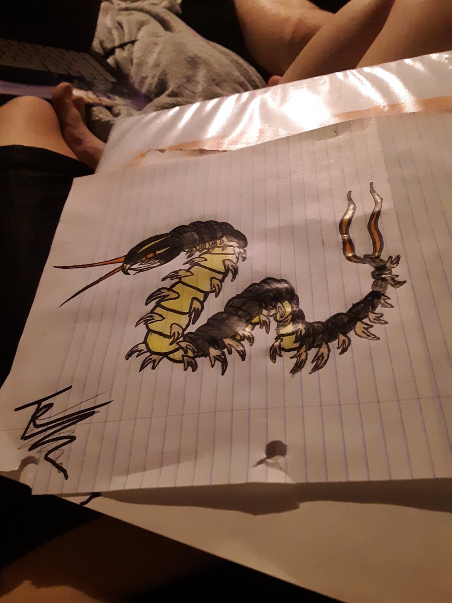 Carterlapanda's tweet image. Then do it