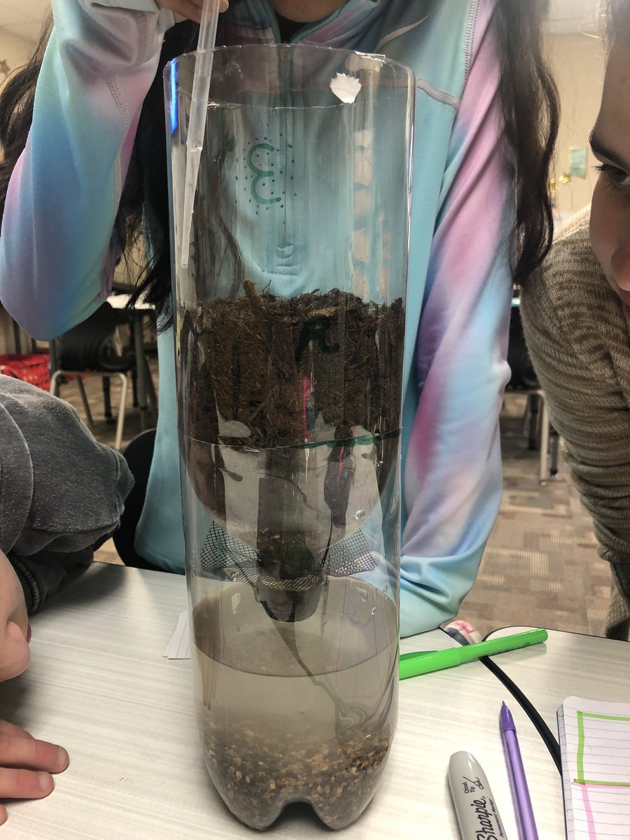 MrsKatiaRamon's tweet image. “Mrs. Ramón, eco-columns are fun!”
Well, that’s the idea... Learning is fun!!! #leaders2thecore #pveleads