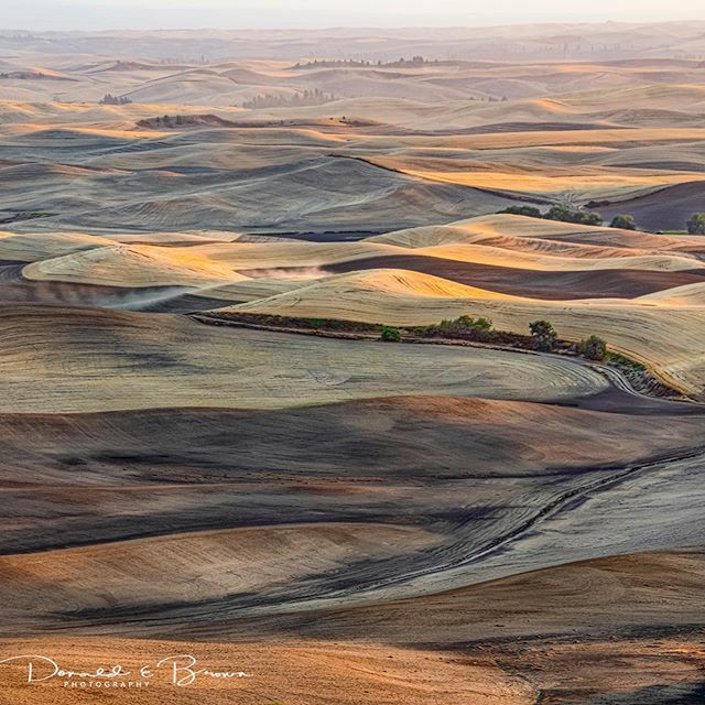 TheLightFactory's tweet image. Sunset + rolling hills + Don Brown = gorgeous image / Don Brown’s “Sunset on the Palouse” is a part of our Print Madness sale. To purchase this print and to check out the other great prints available, see link in bio. ift.tt/39x8ze6