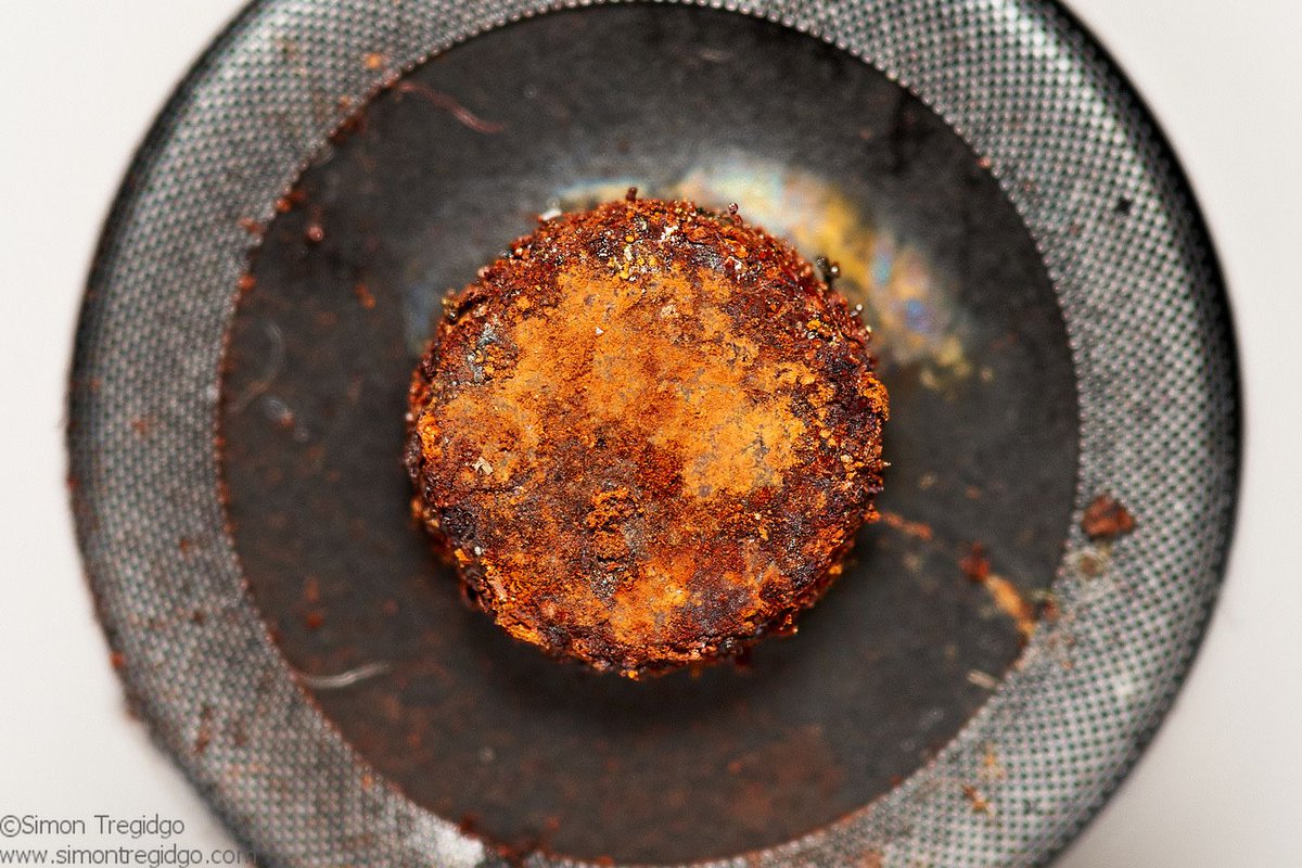TogTregidgo's tweet photo. 1/9 in the new #FridayPhoto series on the world of #macrophotography, kicking off with this curiously powerful shot. I’ll save the long commentary and leave you to guess what you think it is... https://t.co/jSUVd0g6pr