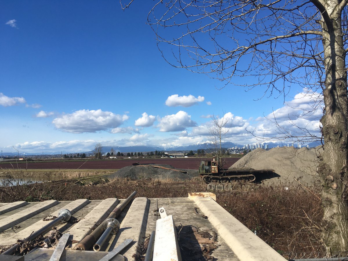 The clock's changing means it's getting that much closer to summer - and the launch of our new show: Virtual Rogues. Stay tuned for that... 🕢🤖 

Here’s a little view from the sunny boatyard. 🌞 #DaylightSavings #clockchange