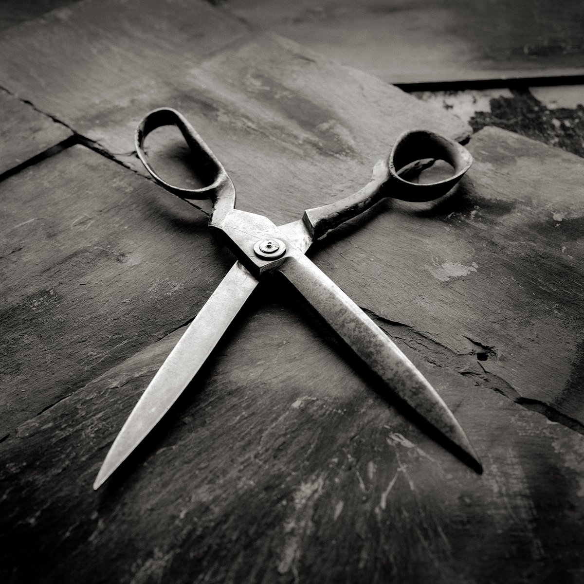 ILFORDPhoto's tweet photo. What a fantastic response to this week's #ilfordphoto #fridayfavourites #squareshots theme. We love it when it takes us ages to go through all of the images submitted.

Thank you to everybody that shared

https://t.co/xvWYBvlTsb

Image @DavidAustinMc 

Our next theme is #goignout https://t.co/EhrDDIPyug