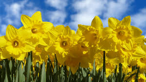 Angela Gray tweet media