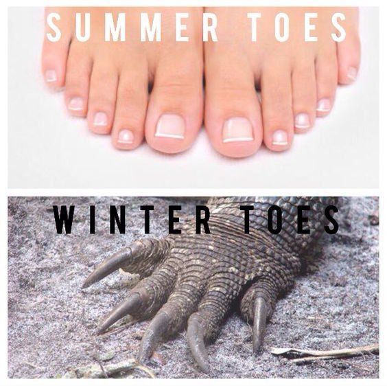 😂🤣 Is it summer yet?! It is here at Bella Nail Bar!
Come in and let us pamper and pretty up your 
toes - book online at bellanailbar.com 
#mani #pedi #bliss #BellaNailBar