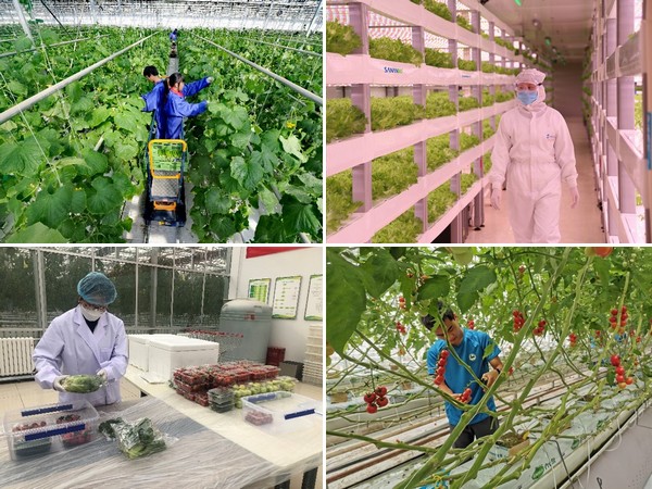 hortidaily's tweet photo. What is the recent status of Chinese growers? #COVID19
https://t.co/38o7S6el4i https://t.co/xzcAW7h5KG