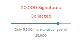 Kelly Piron tweet media