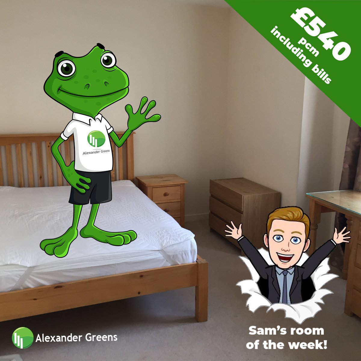 alexandergreens's tweet photo. We have this lovely room available in a shared house 🏠 in Central Avenue on Orchard Park very close to the Science Park and Guided Busway. 🚌 😁 It's #SamsRoomOfTheWeek #hmobest #cambridge #orchardpark #hmo #lettings #sciencepark #roomtorent https://t.co/XaLrmS1kJv