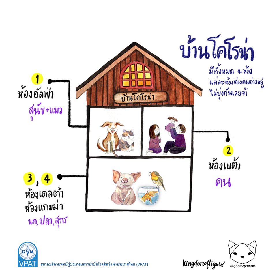 อุปปะกอนทาสี🖌️ tweet media