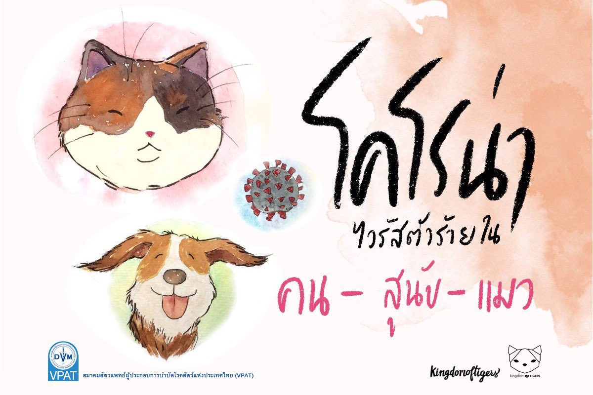 อุปปะกอนทาสี🖌️ tweet media