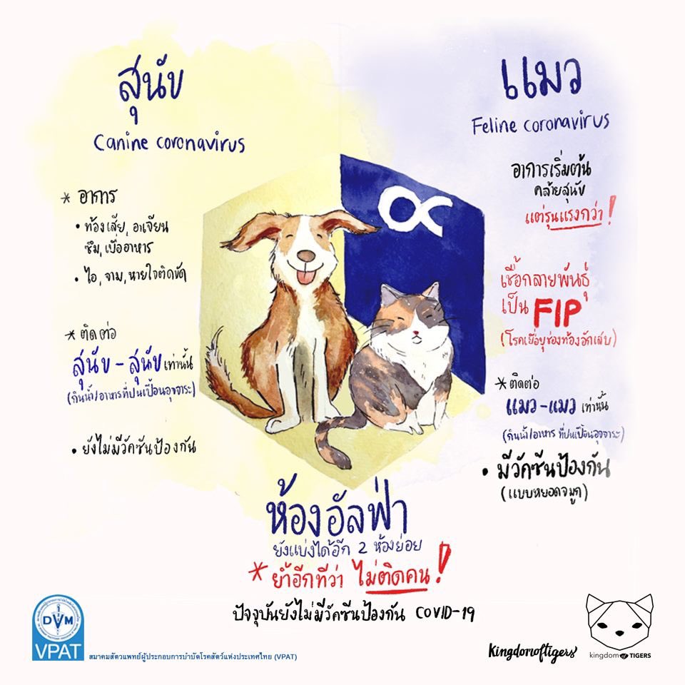 อุปปะกอนทาสี🖌️ tweet media