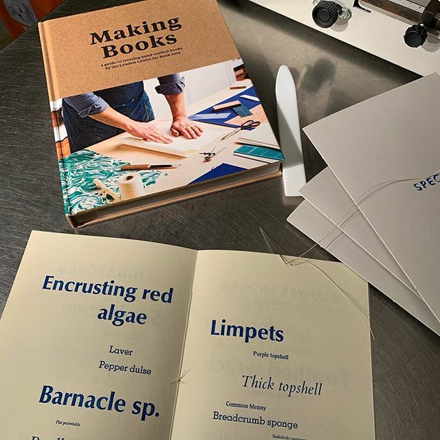mostlyflat's tweet photo. A spot of last-minute Stroud Wayzgoose bookbinding! Highly recommend this handy guide from @londonbookarts โ really clear and straightforward instruction for any budding bookbinders out there.
.
.
.
#stroudwayzgoose #bookbinding #learnbookbinding #artistโฆ https://t.co/2iET3OOjrF https://t.co/HzAxbP3Daa