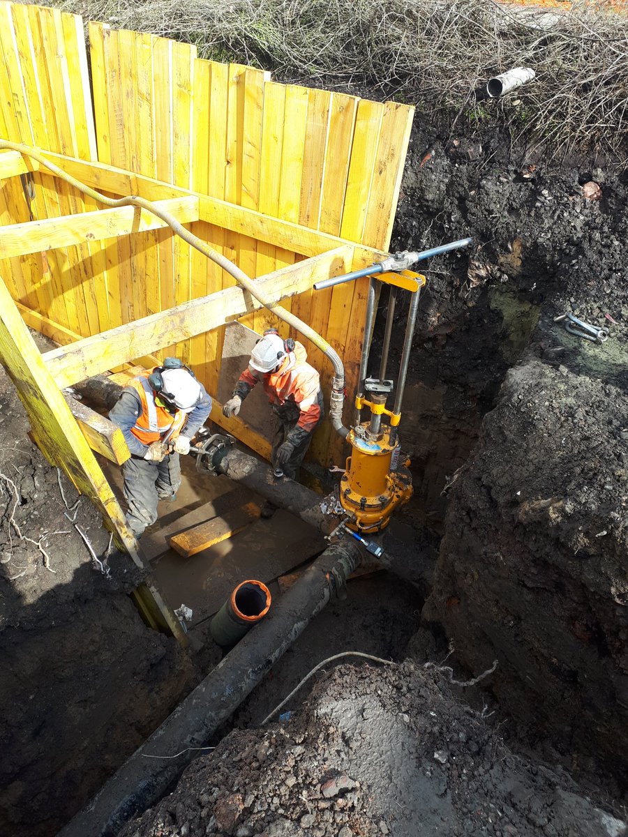 Alexandre tweet media