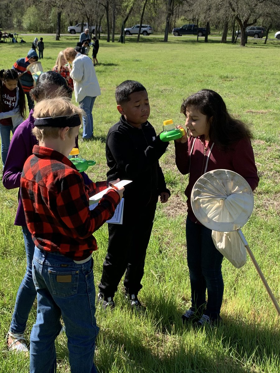 pilgrim_fran's tweet photo. Amazing day for outdoor learning!#pceproud#lovemyLISD#bilingual-proud! https://t.co/gMuuAhpavD