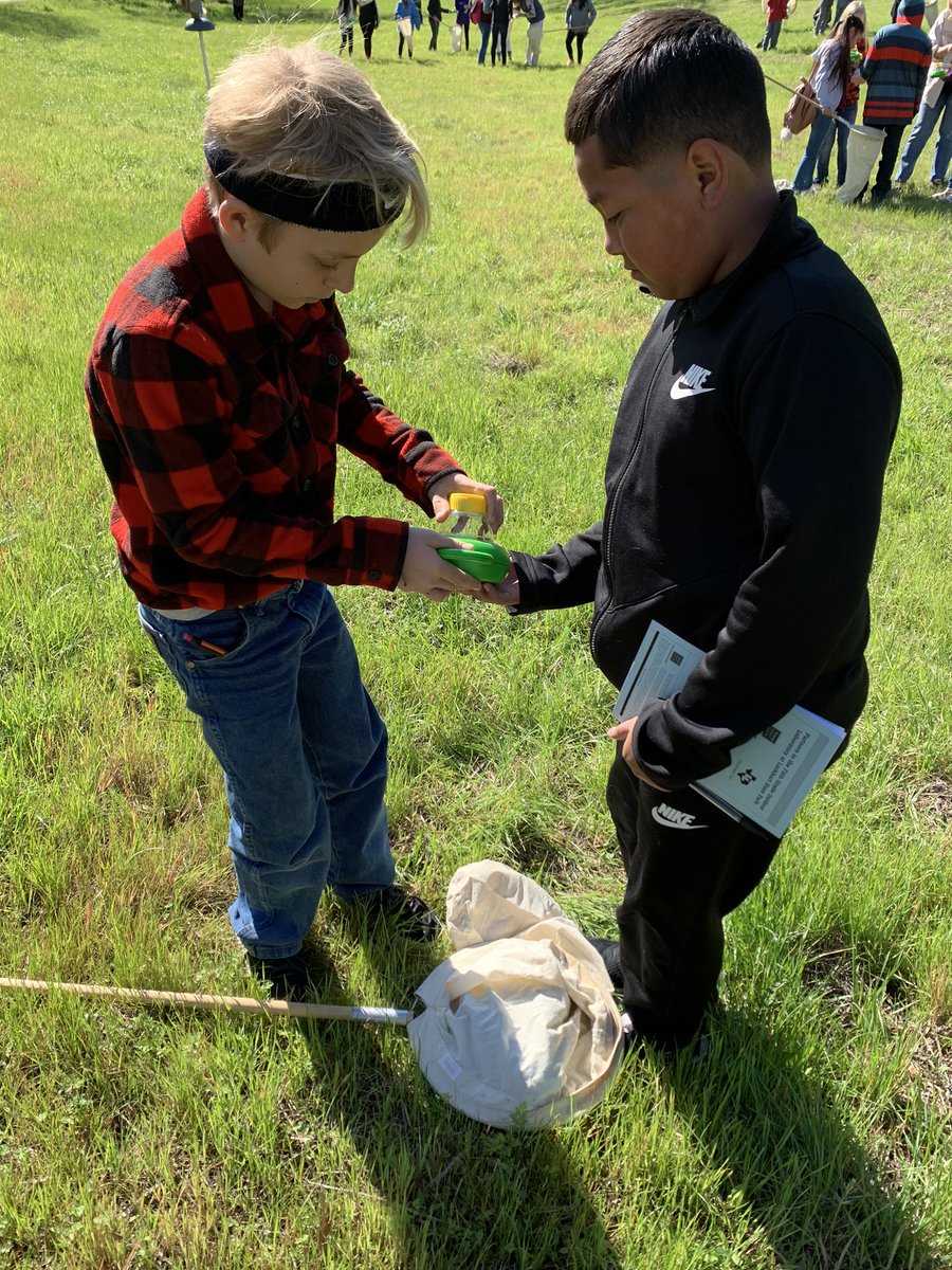 pilgrim_fran's tweet photo. Amazing day for outdoor learning!#pceproud#lovemyLISD#bilingual-proud! https://t.co/gMuuAhpavD