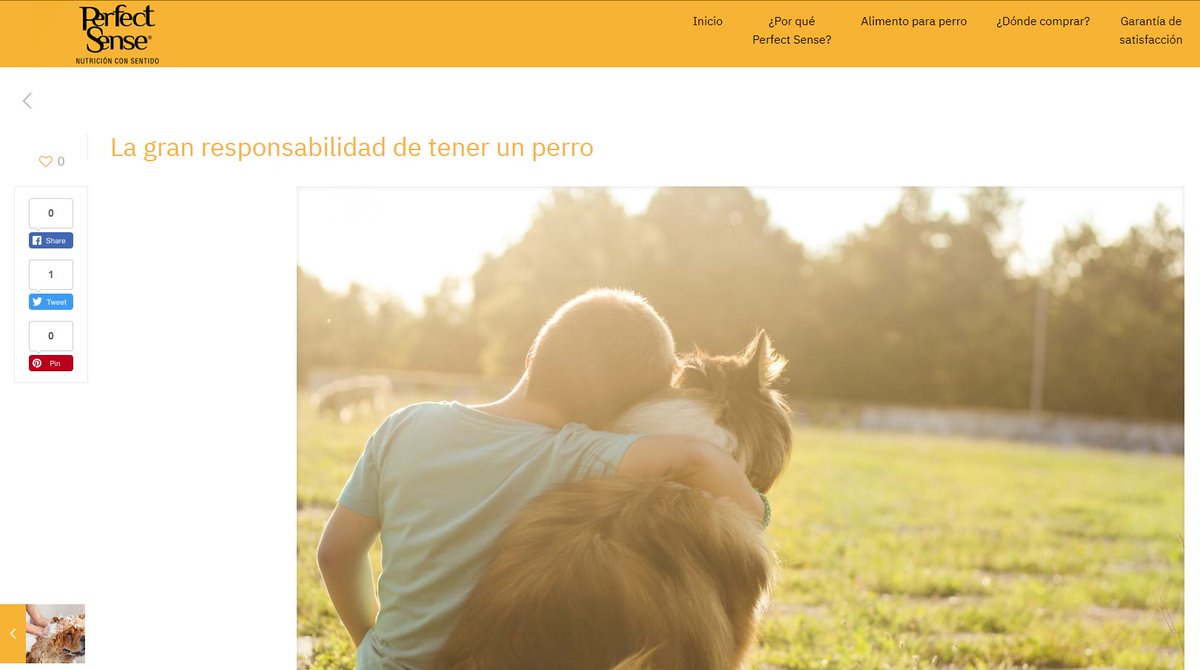 La gran responsabilidad de tener un perro – #PerfectSense  shar.es/aH3Gz7 #FelizViernesATodos #BuenosDiasATodos #6DeMarzo