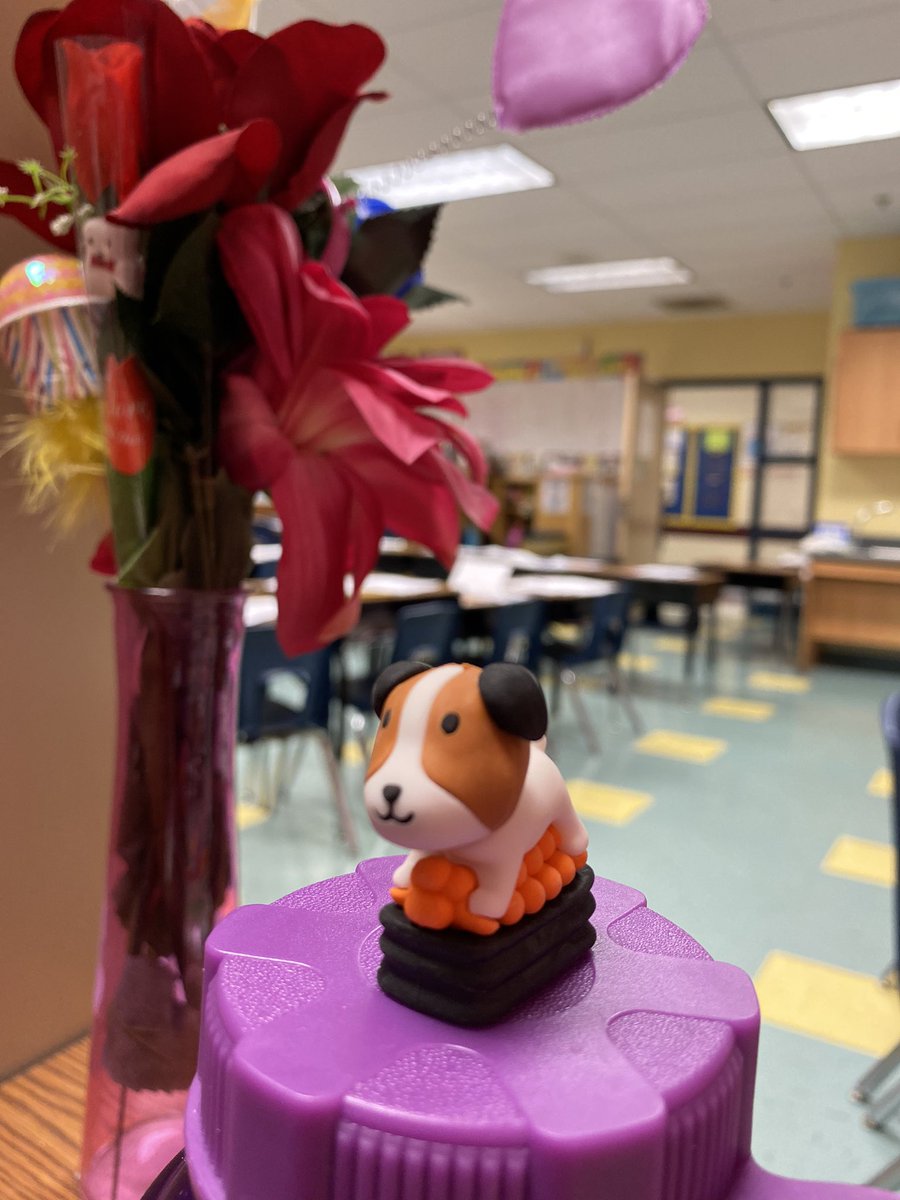 will_well_ami's tweet photo. A first-grade student got me a puppy eraser from our school’s Book Fair after I shared about my puppy in our ALL-ABOUT BOOK in Writing Fundamentals. https://t.co/JwL8lErcNz