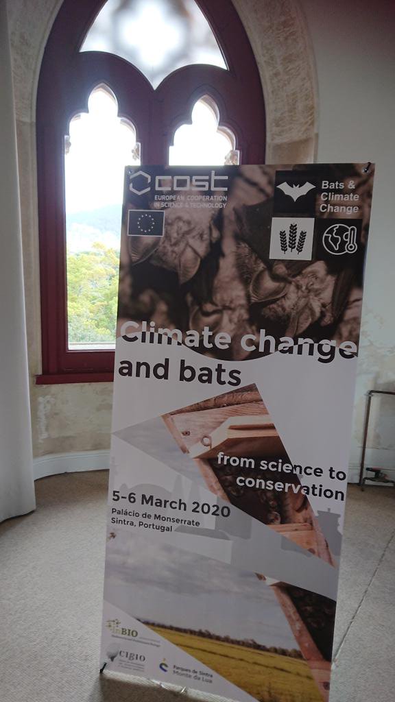 batstothefuture's tweet photo. And we're done! Lots on the to-do-list for our work on #bats and #ClimateChange! #batstothefuture https://t.co/08qd94gi1F