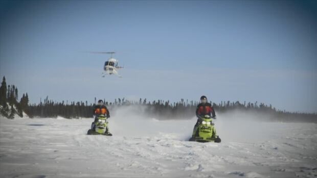 Donna Paddon tweet media