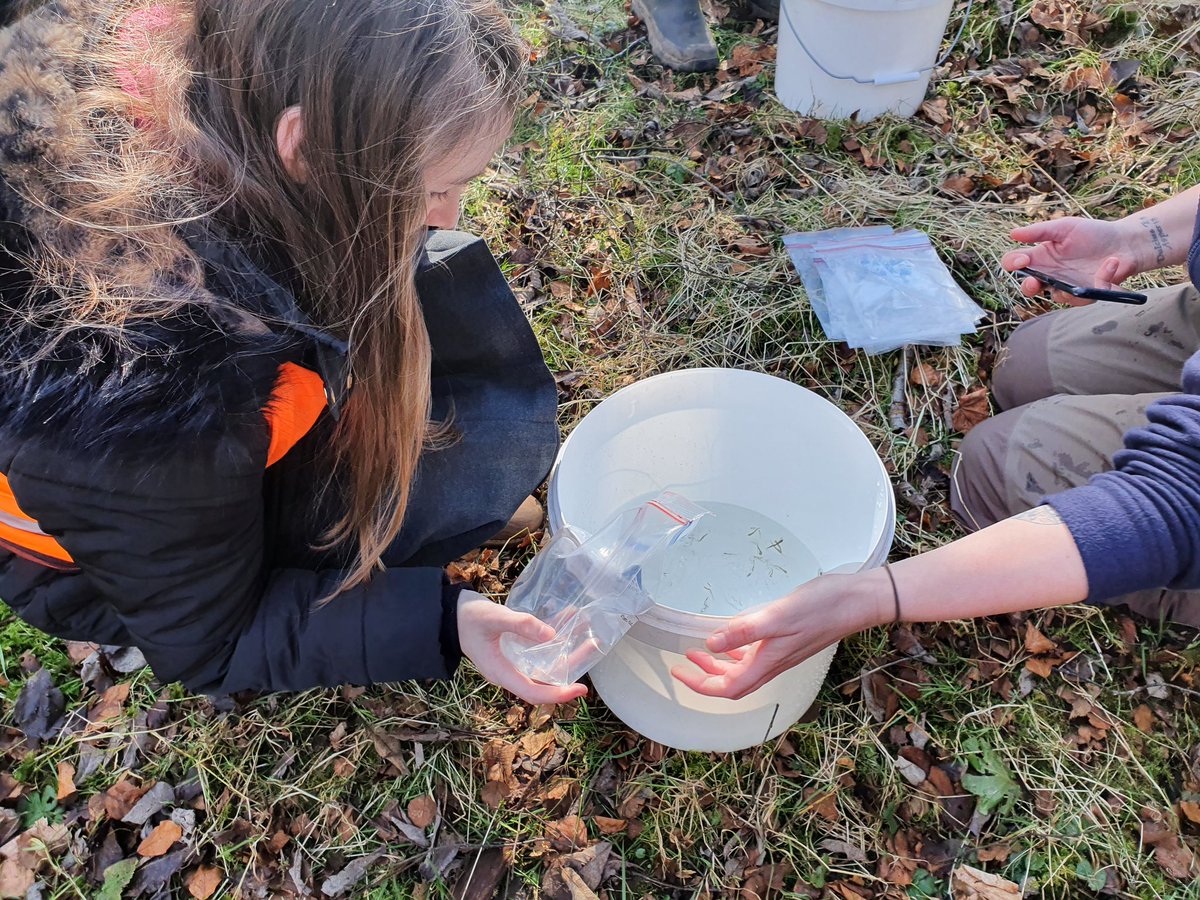 MissJMcLean's tweet photo. Fab weather for releasing the trout fry today that have been very well cared for by p4-7 @MuckhartPrimary. 
#fishintheclassroom #raisescot #clackseducation https://t.co/t4mJfxTc2P