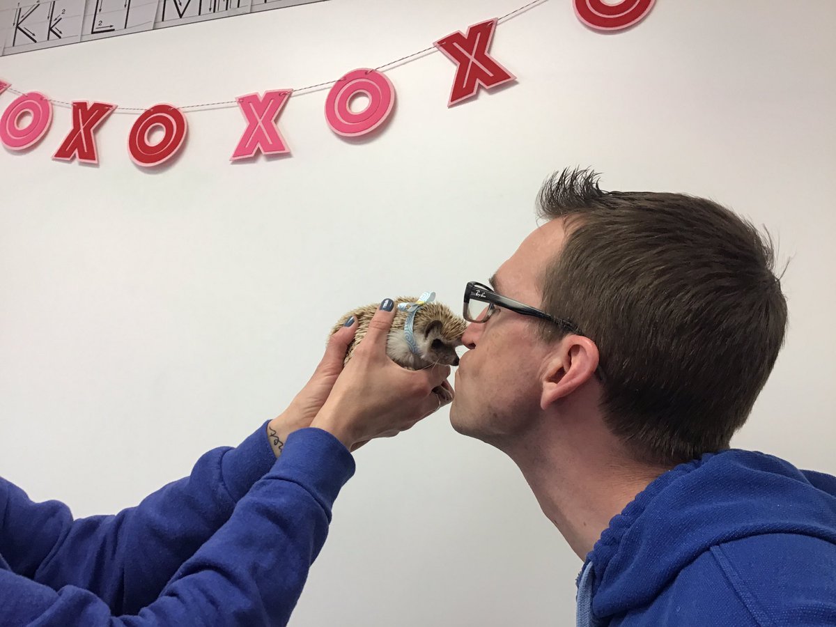 crookedlakeelem's tweet photo. The lengths @samyanderCL will go to to support I Love to Read Month.  The #clsgreats met their reading goal, so Mr. Anderson had to give Reggie the hedgehog a kiss!  #lakecrew #ilovetoread https://t.co/h591xvPCeN