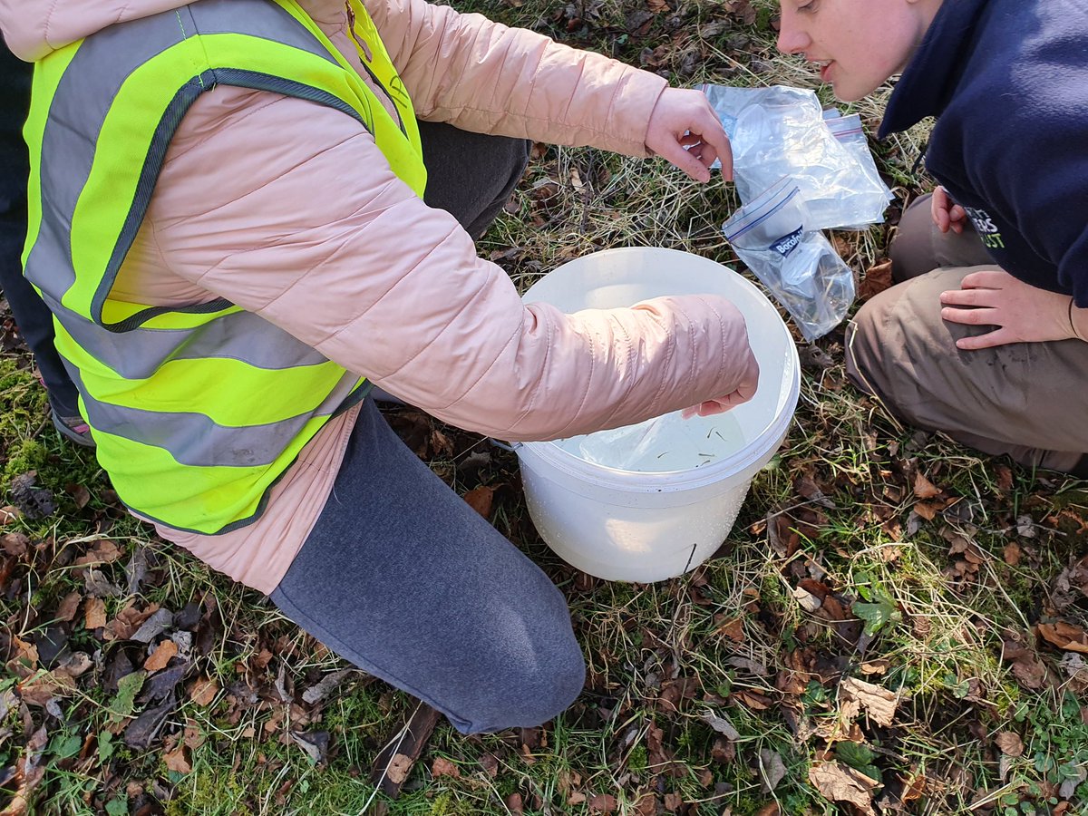 MissJMcLean's tweet photo. Fab weather for releasing the trout fry today that have been very well cared for by p4-7 @MuckhartPrimary. 
#fishintheclassroom #raisescot #clackseducation https://t.co/t4mJfxTc2P