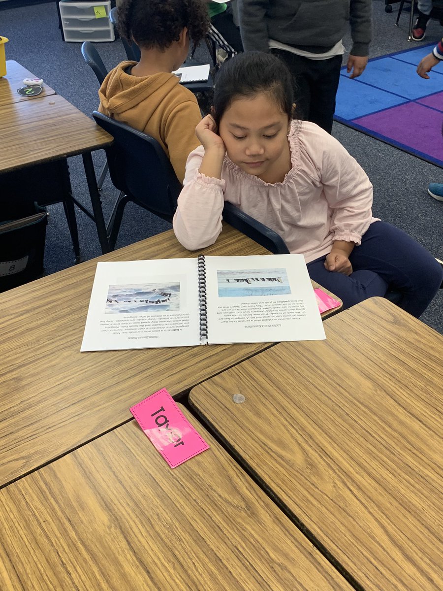 Miss Slade's Class tweet media