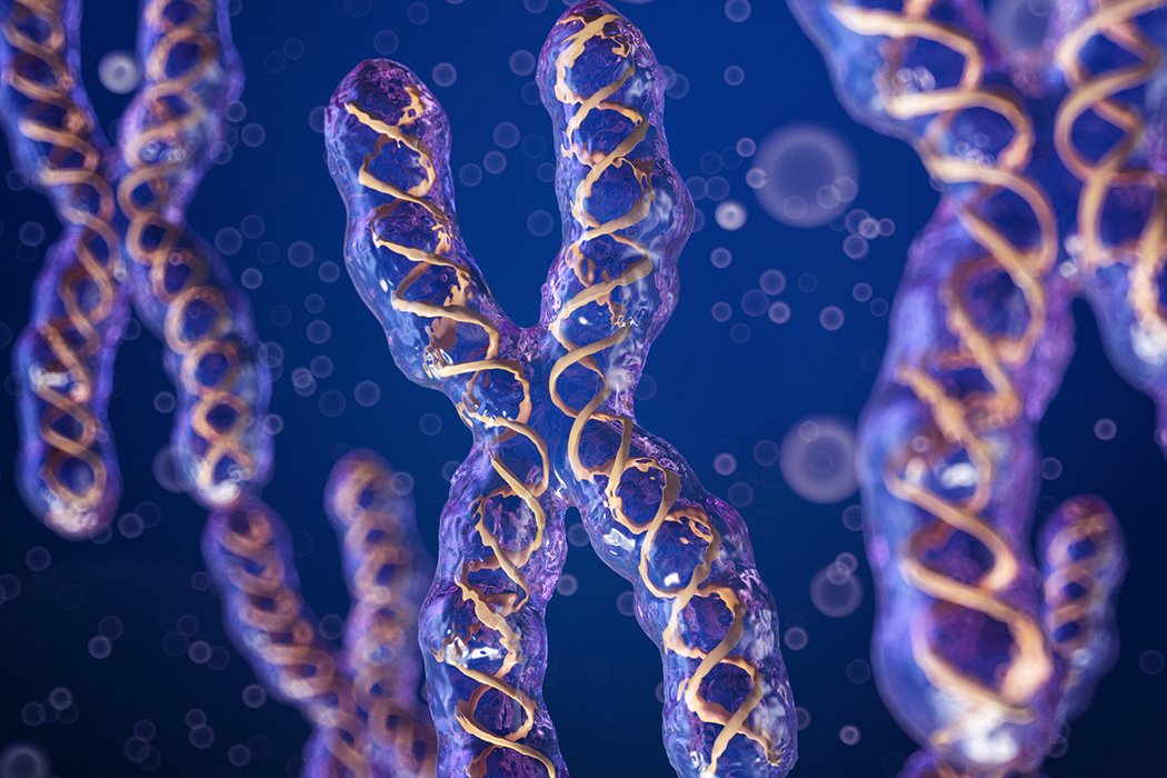 CRCiencia's tweet image. Actualizando la Teoría de la Evolución &amp;gt; ¿por qué los genes saltan entre cromosomas? ow.ly/fIOa30qnE3y via @tekcrispy #Biología #Genética #Evolución