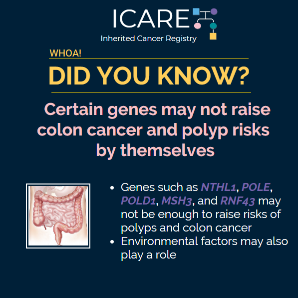 inheritedcancer's tweet photo. New colon cancer and polyposis #genes recently identified include #NTHL1, #POLE, #MSH3, and RNF43. Previous studies suggest these genes raise the risk for colon cancer and polyposis; however, recent data suggest that environmental factors may also play an important role in risk. https://t.co/KnmQeAiJRz