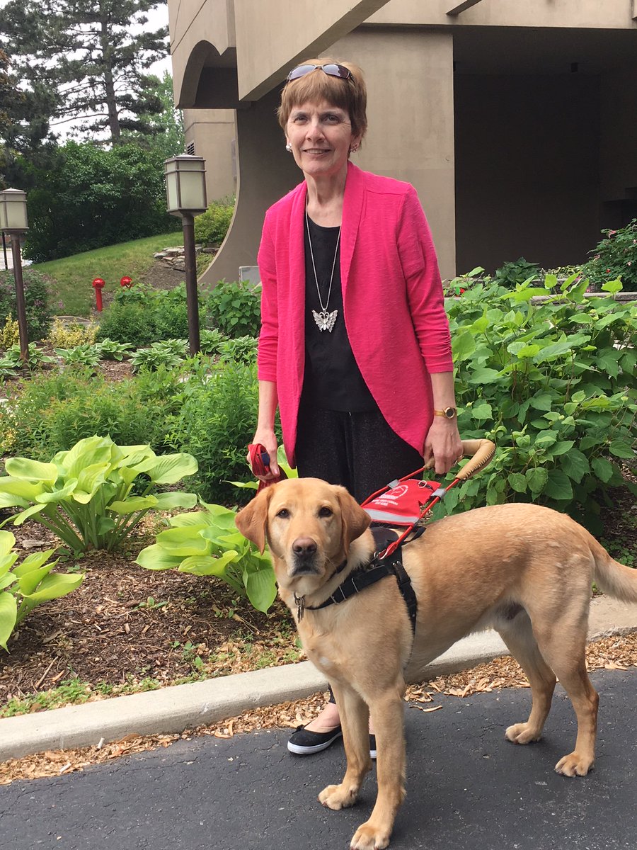 LFCDogGuides's tweet photo. #OnAPawsitiveNote - Kathy &amp; Oakley, Canine Vision Team in Ontario

“To foster families and @LFCDogGuides we would not have reliable Dog Guides without your dedication." For more on this team, visit https://t.co/xalRqFd8Xc

#lfcdogguides #guidedogs #servicedogs #fridayvibes https://t.co/6Z2b0VVc4i