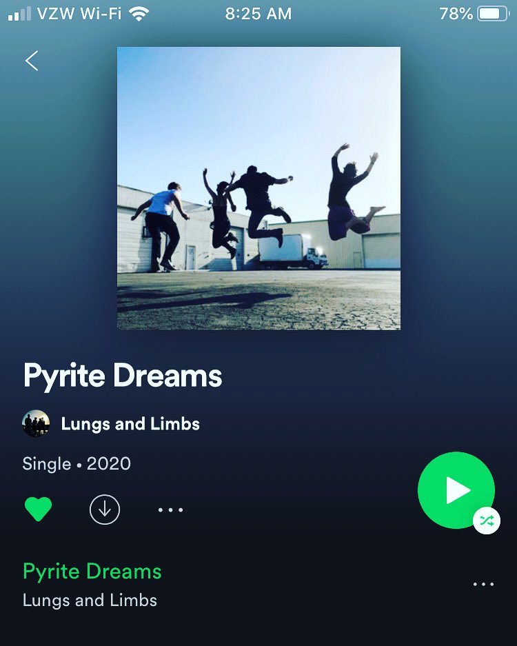 Check out Pyrite Dreams, the second single off our upcoming album!! #lungsandlimbs #newmusic #pyrite