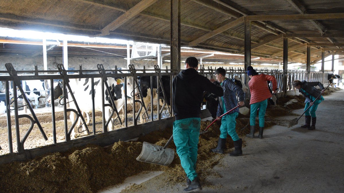 MobilityFriends's tweet photo. They do #FarmWork.
Do you want to do internship in #Portugal? Or you are a teacher and would like to send your students to #Portugal? So, contact us https://t.co/NSRiHU7i77
#Portugal 🇵🇹
#Romania 🇷🇴
#Barcelos
#VETprojects

https://t.co/Gt3hwmCK0R
https://t.co/768fSuioNZ https://t.co/lSjRCqJjuG