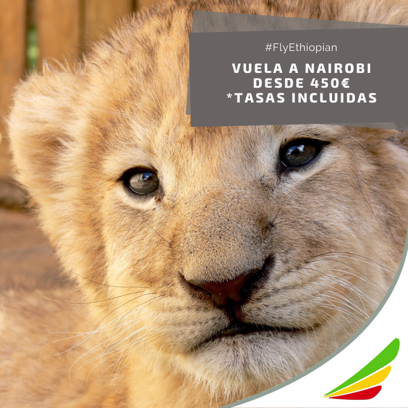 ¿Te enamoraste de Kenia al ver la película “Memorias de África”? En tu viaje a Nairobi puedes visitar el museo Karen Blixen y aprender todo sobre su aventura.

✈️🦁Vuela con #FlyEthiopian a Nairobi desde 450 € ethiopianairlines.com/ES/ES